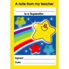 SuperStickers Superstar Teacher Reward Praise Note Pad, DNP132, 15 x