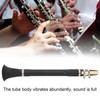 Clarinet Instrument Clarionet Kit with Mouthpiece Reeds Cork Grease Instrument