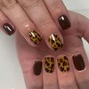 TESGADGETS 24 Pieces Artificial Nails with Leopard Pattern, Short, Square,