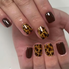 TESGADGETS 24 Pieces Artificial Nails with Leopard Pattern, Short, Square, Brown, Acrylic, Glossy, Reusable, for Holidays and Daily Wear, for Ladies