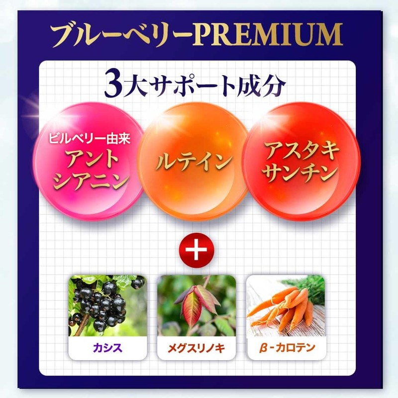 オーガランド (ogaland) ブルーベリープレミアム (180粒 / 約6ヶ月分) サプリ (ルテイン/ブルーベリー/アスタキサンチン/カシス) メグスリノキ サプリメント