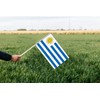 10 PCS Uruguay Handheld Flag,8.5×5.5 Inch uruguayan Flags Hand Held