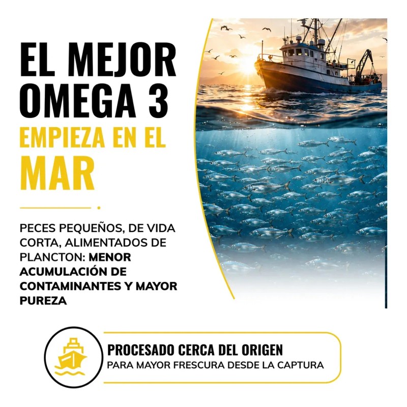 Omega Ultra Aceite Pescado 360mg Epa 240mg Dha Forma Peces