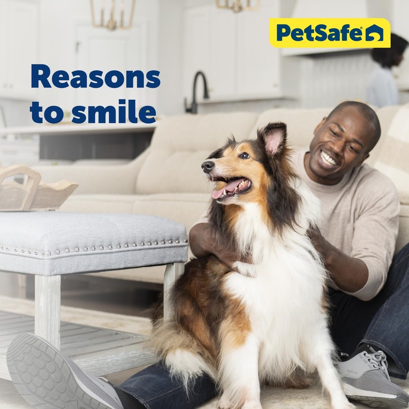 PetSafe Closing Panel Pet Door Cover - Durable, Plastic Dog