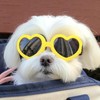 Dog Heart Shaped Goggles Wind-Resistant – Stylish Cute UV Protection