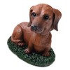 Animal Den Dachshund Red Dog Bobblehead Figure for Car Dash