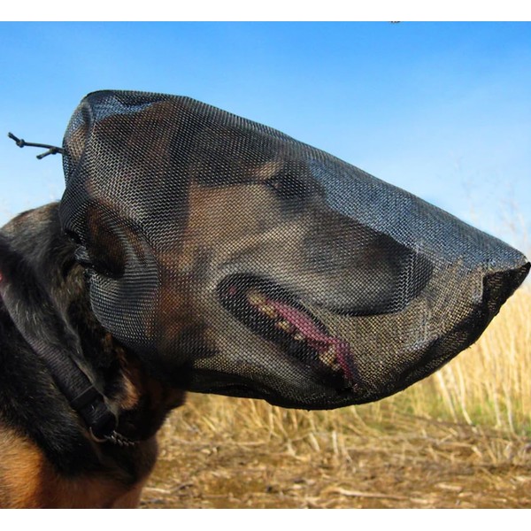 Out Fox Field Guard Size XXS - Vet-Recommended Dog Safety