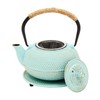 Juvale Cast Iron Tea Kettle with Infuser - Green, 18