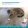 Petstages Dental Kitty - Juguete para Gatos