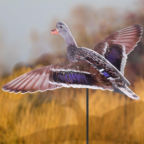 Qualirey Mallard Duck Hunting Party Decoration Large Plastic Mallard Duck