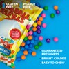 Mini Gumballs 0.5 inch 13mm - 2 LB - Bubble