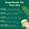 Polvo Superalimento Kuli Kuli Gut Bliss 180 Ml Con Moringa