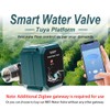 FRANKEVER DN20 Smart Water Valve 3/4 inch Zigbee Hose Timers