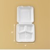 FOOGO Green 50pcs Eco-Friendly Clamshell Takeaway Boxes, 9x9 inch 46oz