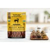 Terra Delyssa Organic Deglet Noor, Dates Softer than Medjool Dates,