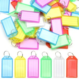 Hocansen 60PCS Keyring Tags with Labels 6 Colours Plastic Key Tags with Split Ring Key Fobs ID Luggage Labels Keyrings Name Tags for Keys, Pets, Name, Luggage（Color-6/YSP）