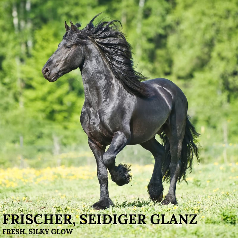 Fell und Mähnenspray Aloe Vera, keine Farbe, onesize, Einheitsgröße, onesize