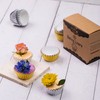 [Non-Stick]400pcs Gold Mini Cupcake Liners for Baking, Greaseproof Cupcake Liner,