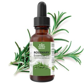 Relaxcation Rosemary Oil – Steam Distilled from Spanish Rosmarinus Officinalis, Fresh Herbaceous Aroma, Middle Note Botanical Oil for Hair, Skin, DIY & Blends (4 oz)