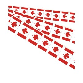 10 Meters Canada Miniature String Pennant Flag,30 PCS Canadian Small Bunting Banners, 32 FT Decorations For Outdoor Indoor House Home Office Meeting Party