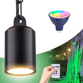 Makergroup Color Changing Outdoor Pendant Light, 12V Low Voltage Hanging Light, Brass Landscape Spotlight, Multicolor (2700K-6500K & RGB Colors), Dimmable with IR Remote, Memory Function