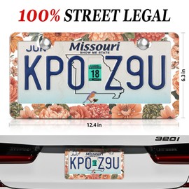 XCLPF Orange-Red Vibrant Floral License Plate Frame for Cars – 2-Hole Aluminum Alloy Car Plate Cover Holder with Gift Box, Rustproof Auto Gift, Universal 12x6 Inch