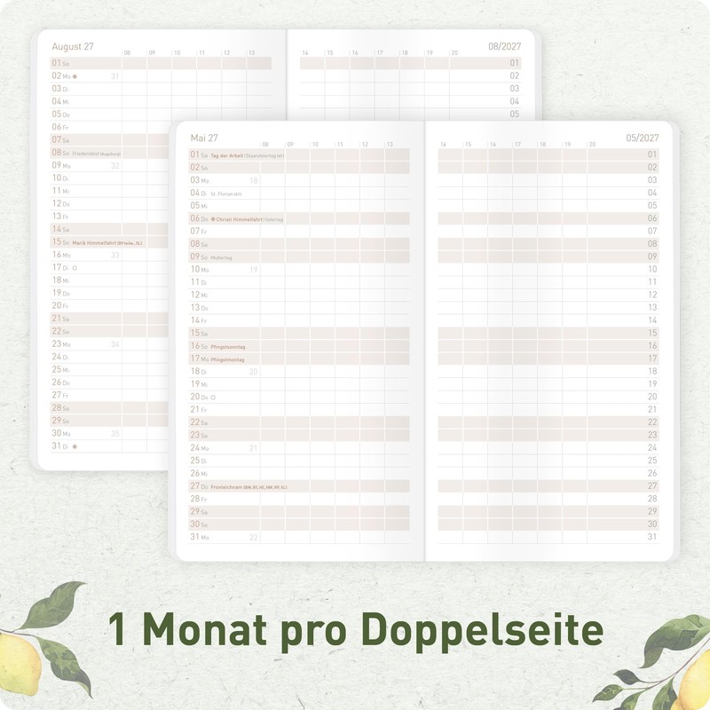 Häfft® Monthly Calendar 2027 A6+ Slim "Lemon Times" 1 Month