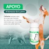 RUILAND Cofactor Suplemento Multivitamínico para Perros
