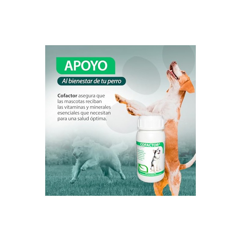 RUILAND Cofactor Suplemento Multivitamínico para Perros