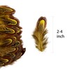100 pcsHappy Feather Natural Pheasant Plumage Feathers 2-3 Inches Plumage