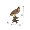 Hi-Line Gift Ltd. Wild Hawk Standing on Branch Garden Statue