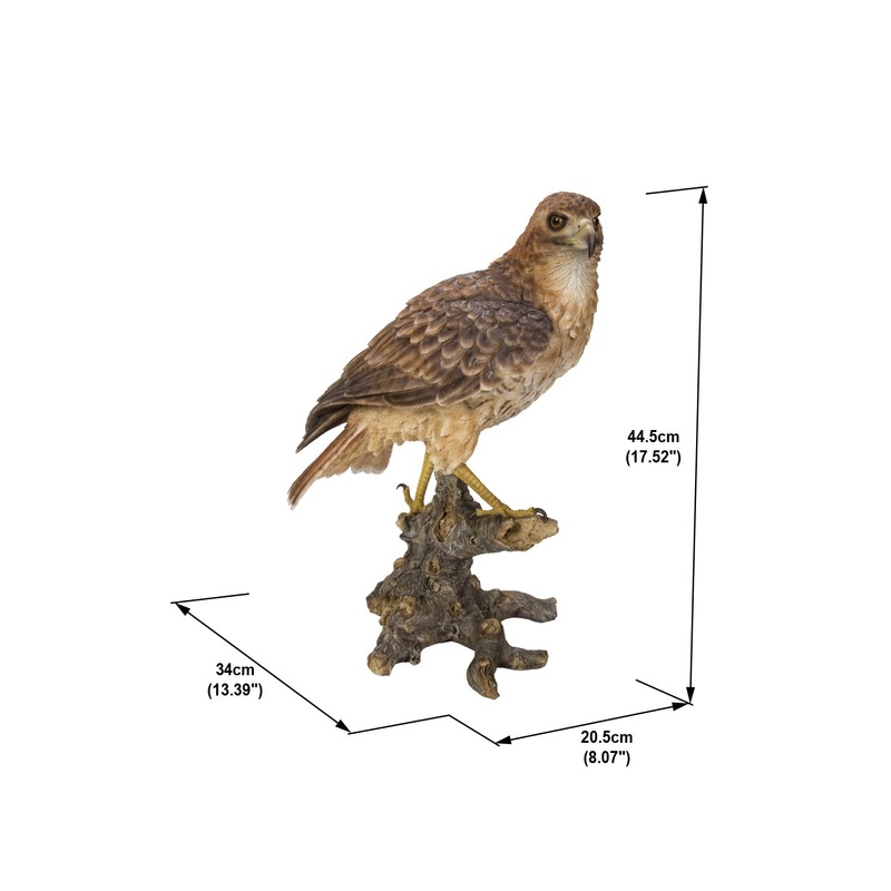 Hi-Line Gift Ltd. Wild Hawk Standing on Branch Garden Statue