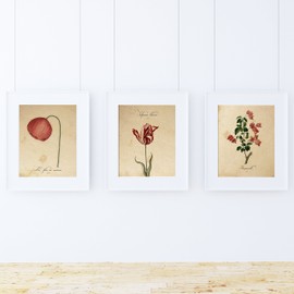 Pack of Sheet Red ONE. Posters with Images of Botanical. Home Decor. Sheets for framing 250 gr. paper.