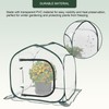 Toboom Mini Transparent Pop Up Greenhouse for Indoor and Outdoor