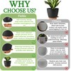 Fielda 2 Pack 8 Inch Pots for Plants Indoor, Plastic