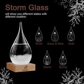 Storm Glass Weather Predictor, Glass Sphere with Wood Base, Christmas Decoration Snow Globe, Storm Glass Weather Forecast Weather Station (S)