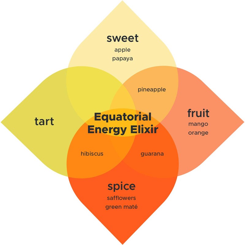 Kombucha.com Pure Equatorial Energy Elixir BREW BOOSTER, 4 oz