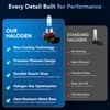 H11 Halogen Bulbs, 12V 55W, 3800K Warm White, High Performance,