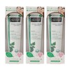 Dentis Whitening Toothpaste Powder, Mint Scent, Kiss Immediately Waking Up,
