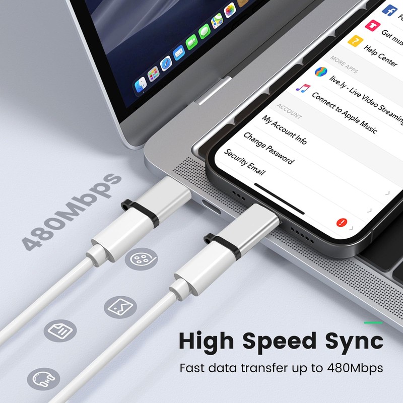leizhan USB C Adapter (2 Pack, Silver) Type C Male