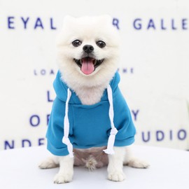 PETCARE Pet Dog Hoodie Sweater Blue Warm Soft Fleece Sweatshirts with Pocket Fall Winter Puppy Cat Sweaters Clothes for Small Dogs Cats Chihuahua Yorkies French Bulldog Outfits Costume