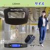 Sugarello Hanging Scale, Electronic Scale, Firm Grip, Hanging Scale, Portable,