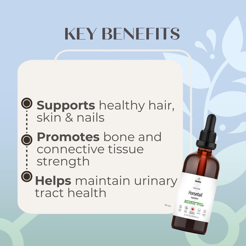 Herbity Horsetail Tincture – Alcohol-Free Herbal Extract for Hair, Skin,