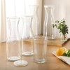 Gibson Home Windchill Set of 4 Large Glass Carafe with