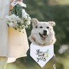 She Said Yes Dog Bandana, White Pet Scarf Proposal Wedding