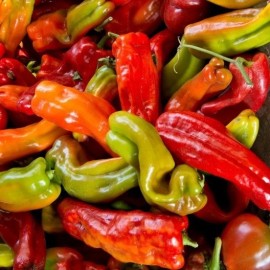Southeast Seeds Anaheim Chile Hot Pepper Seeds, NON-GMO, Variety Sizes, Chili, FREE SHIPPING - 500 Seeds or 1/8 OZ