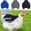 3 Chicken Wings Protectors for Hens, Premium Chicken Saddles for