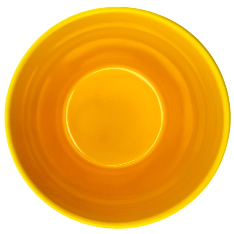 Pokemon Melamine Cup Starlite/Pikachu