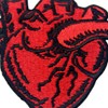 X-Ray Anatomical Heart Patch Embroidered Badge Iron On Sew On