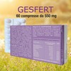 Gesfert, integratore a base di Acido Folico, Maca Andina, Zinco,